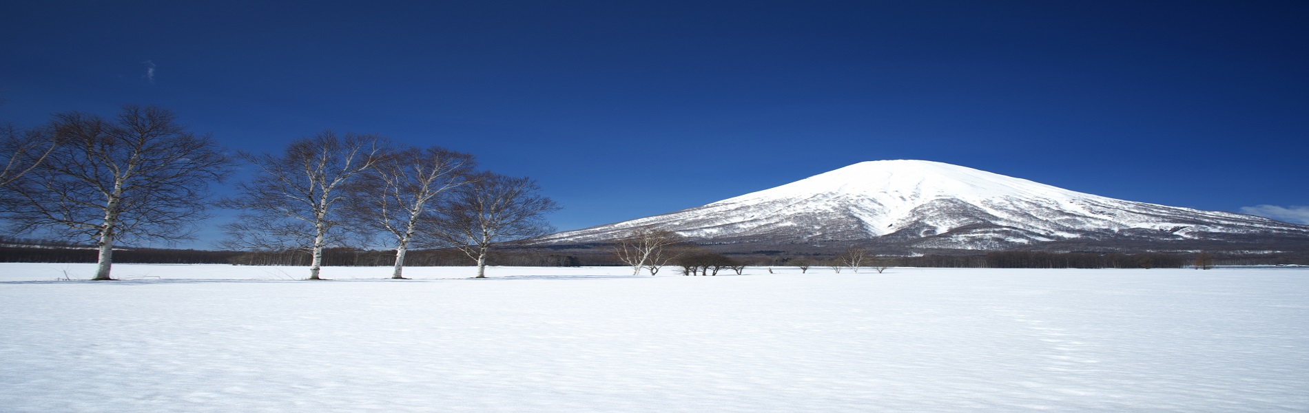 あなたの知らない、北海道の魅力を。